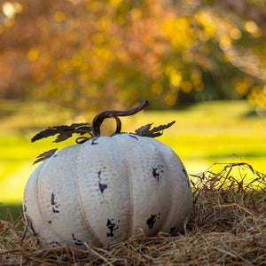 Medium Round Pumpkin